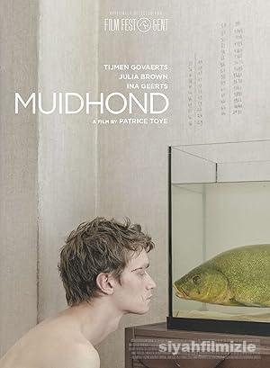 Muidhond 2019 Izle 11861